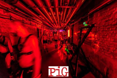 08.09.2018 PIG-75