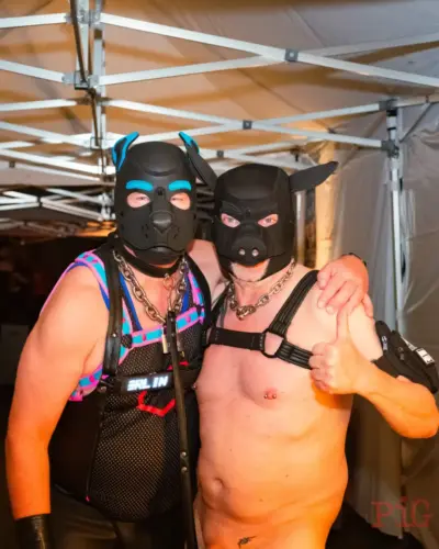 PIG_2026_-158