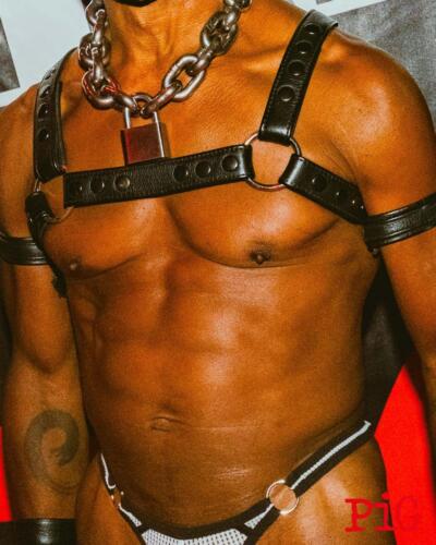 Pig_Berlin_Folsom_2025_145